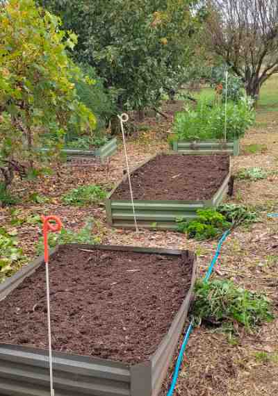 Vegetable Garden Preparation