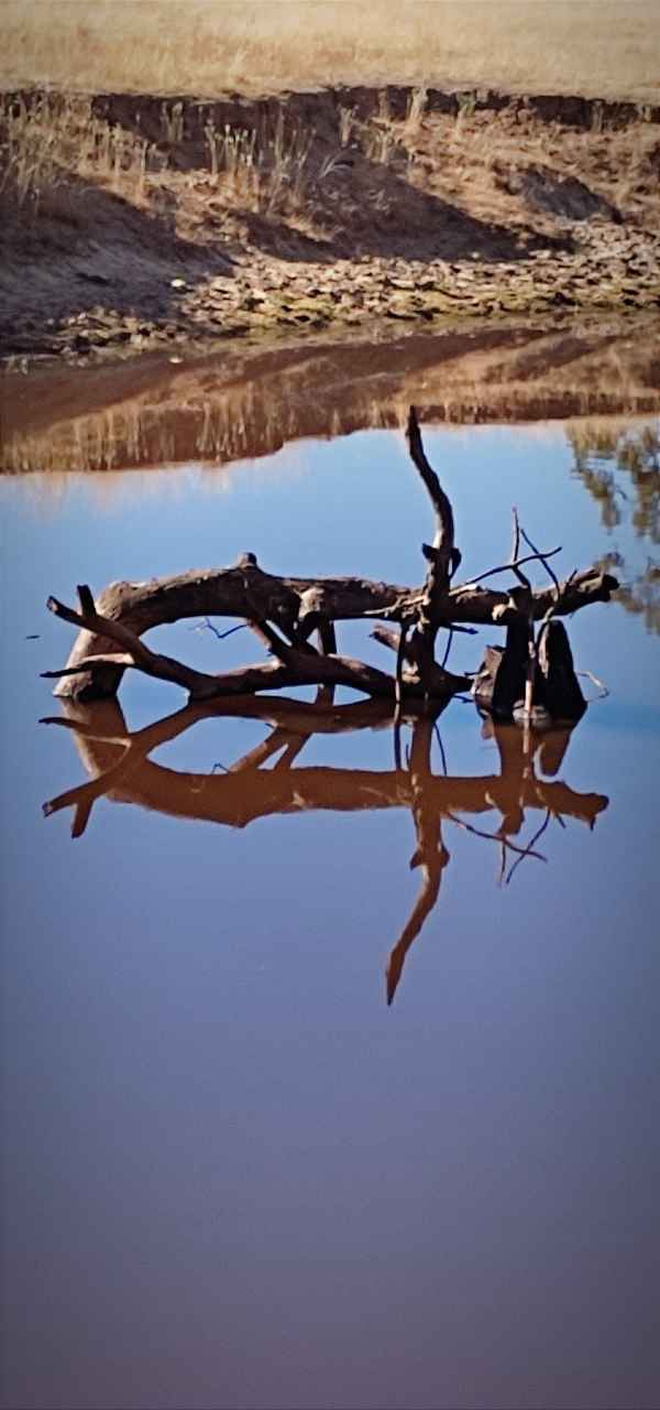 Reflections