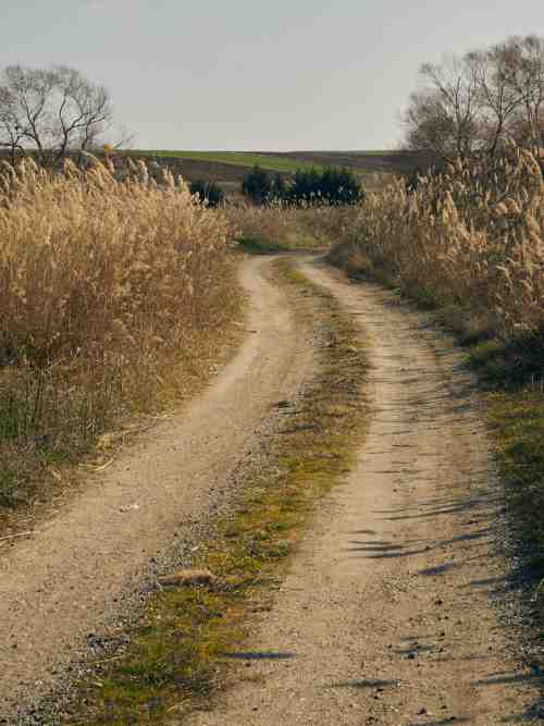 Country tracks