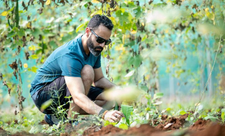 gardener planting seedlings